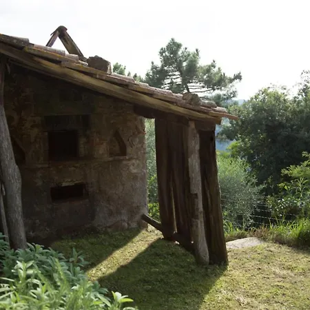 Casa Di Laino Lucca